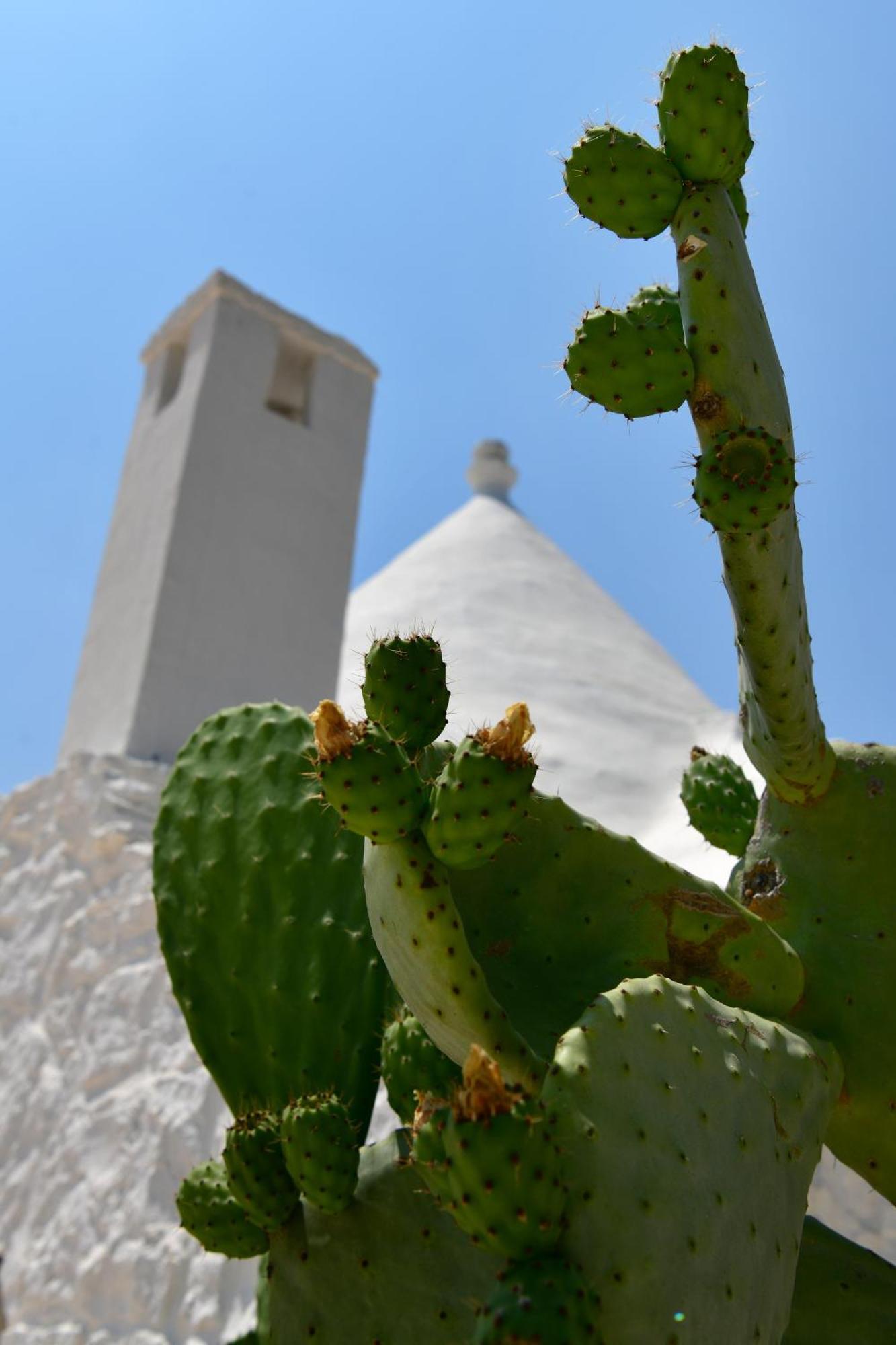 Il Trullo Bianco - Country House & Spa Castellana Grotte Extérieur photo